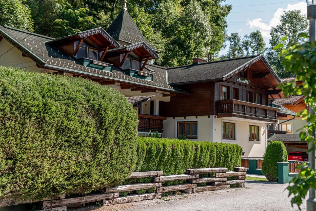 Auschloessl Appartements - Reiteralm Schladming Eksteriør billede
